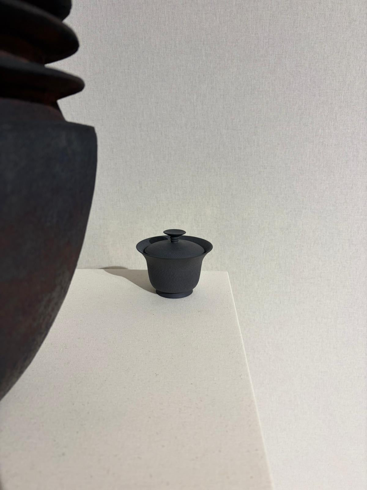 Black Helice Teapot Gaiwan