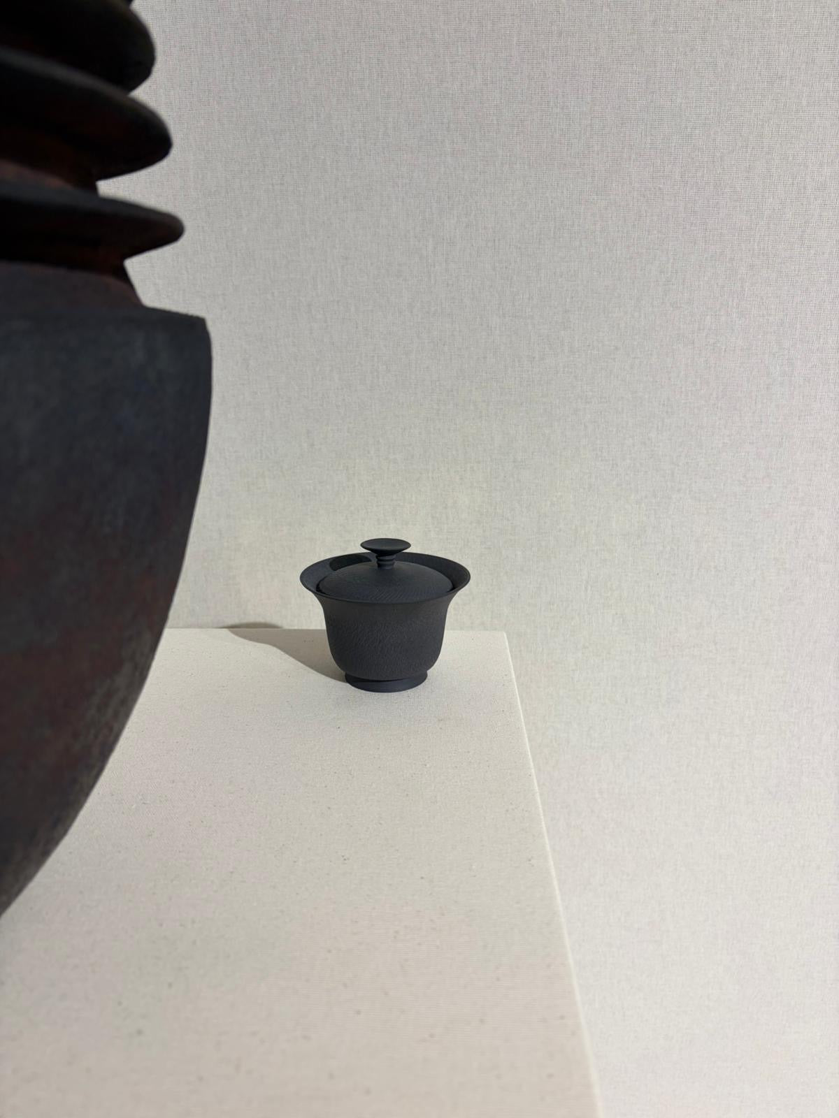 Black Helice Teapot Gaiwan