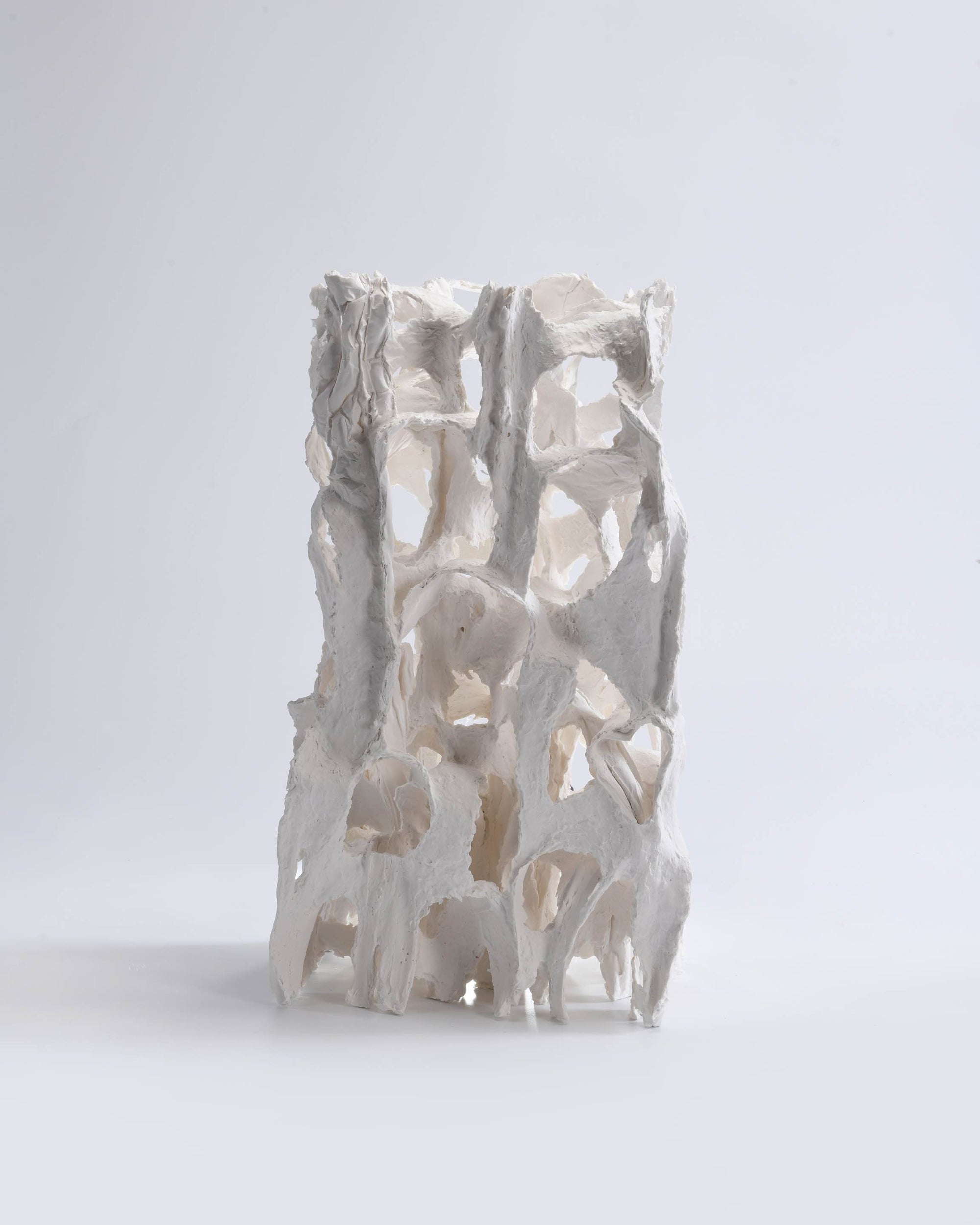 LIFE SEQUENCE SERIES