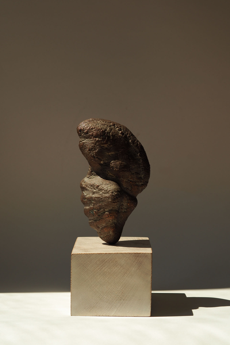 THE JUVENILE IN COPPER