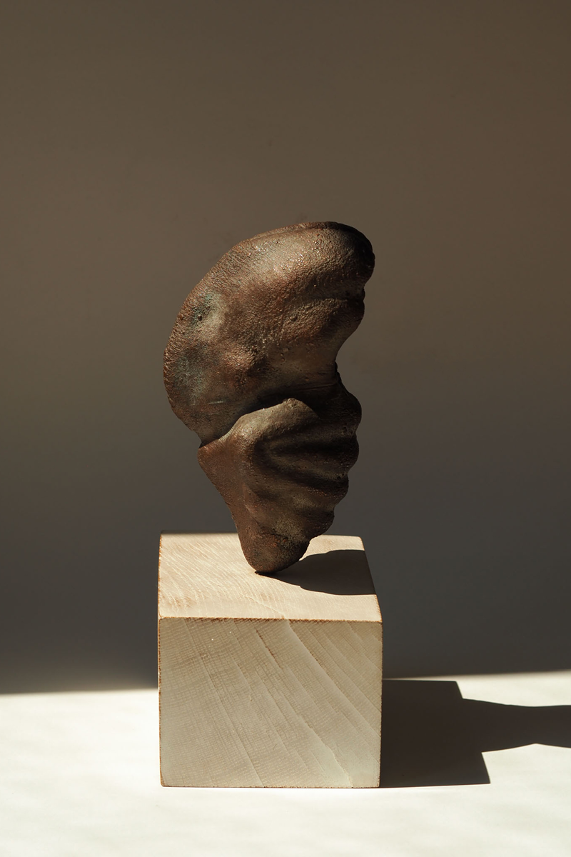 THE JUVENILE IN COPPER