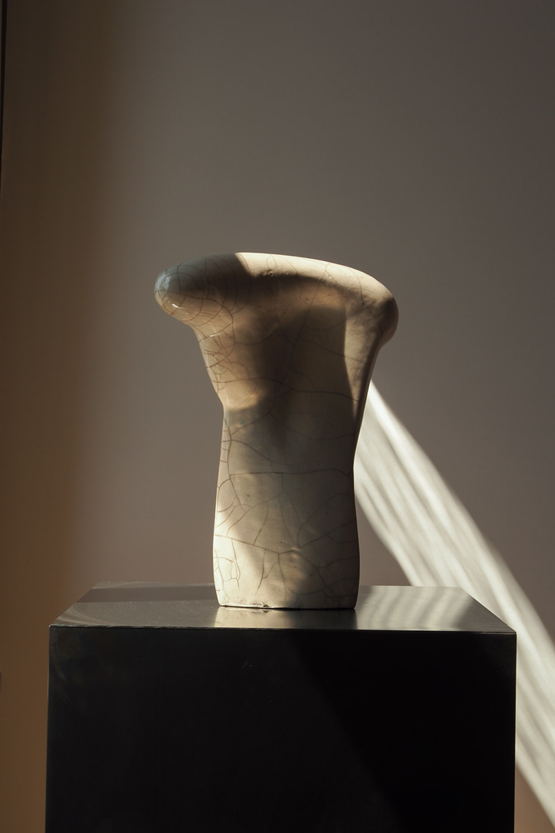 THE RAKU SERIES