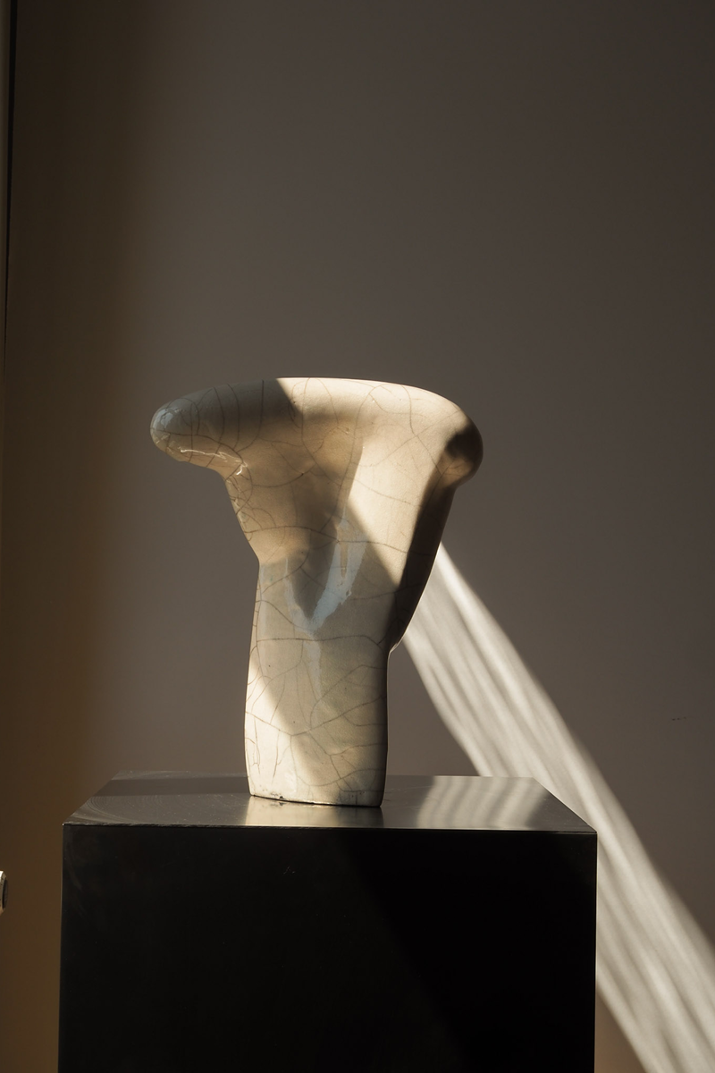 THE RAKU SERIES